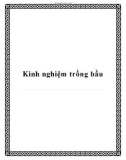 Kinh nghiệm trồng bầu