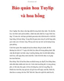 Bảo quản hoa Tuylip và hoa hồng