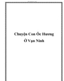 Chuyện Con Ốc Hương Ở Vạn Ninh