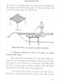 Kỹ thuật mới nuôi thủy đặc sản nước ngọt part 6