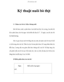 Kỹ thuật nuôi bò thịt