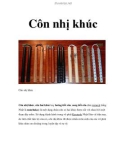 Côn nhị khúc