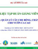 Bài giảng Tập huấn trồng ca cao bài 2: Quản lý cây che bóng, chắn gió cho vườn ca cao