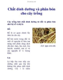 Chất dinh dưỡng và phân bón cho cây trồng