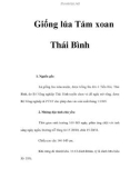 Giống lúa Tám xoan Thái Bình