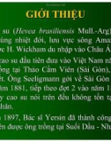 Bệnh hại cây cao su