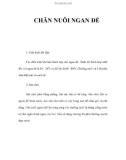 CHĂN NUÔI NGAN ĐẺ