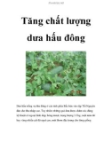 Tăng chất lượng dưa hấu đông