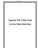 Nguyên Tắc Chăn Nuôi Gà An Toàn Sinh Học