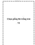 Chọn giống Bơ trồng trái vụ