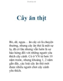 Cây ăn thịt