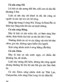 Hướng dẫn nuôi Gấu – Trăn – Cá sấu part 9