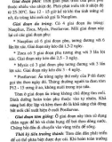 Kỹ thuật nuôi tôm nước lợ part 3