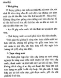 Kỹ thuật nuôi tôm nước lợ part 7