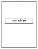 Nuôi Rắn Đẻ