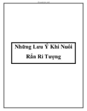 Những Lưu Ý Khi Nuôi Rắn Ri Tượng