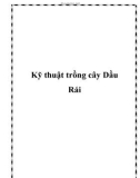 Kỹ thuật trồng cây Dầu Rái