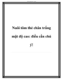 Nuôi tôm thẻ chân trắng mật độ cao: điều cần chú ý!