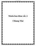 Muôn hoa khoe sắc ở Chiang Mai