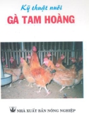 Kỹ thuật nuôi gà tam hoàng