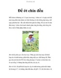 Để ớt chín đều