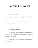 GIỐNG LÚA ĐV 108