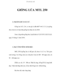 GIỐNG LÚA MTL 250