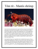 Tôm tít - Mantis shrimp