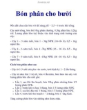 Bón phân cho bưởi