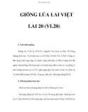 GIỐNG LÚA LAI VIỆT LAI 20 (VL20)