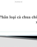 Bài thuyết trình: Phân loại cà chua chín và xanh