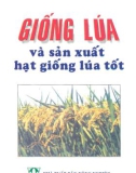 Hướng dẫn lựa chọn hạt giống lúa tốt: Phần 1