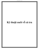 Kỹ thuật nuôi vỗ cá tra