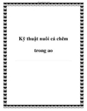 Kỹ thuật nuôi cá chẽm trong ao