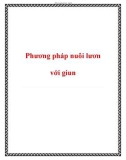 Phương pháp nuôi lươn với giun