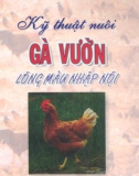 Gà vườn lông màu và kỹ thuật nuôi nhập hội