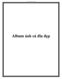 Album ảnh cá đĩa đẹp