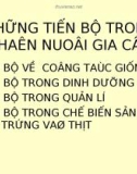 Những tiến bộ trong chăn nuôi gia cầm