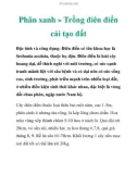 Phân xanh » Trồng điên điển cải tạo đất