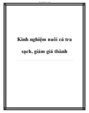 Kinh nghiệm nuôi cá tra sạch, giảm giá thành