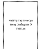 Nuôi Vịt Thịt Trên Cạn Trong Chuồng Kín Ở Thái Lan