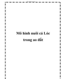 Mô hình nuôi cá Lóc trong ao đất