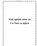 Kinh nghiệm chăm sóc Cà Chua vụ nghịch