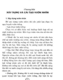 Hướng dẫn trồng và chăm sóc cây nhãn: Phần 2