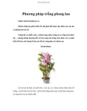 Phương pháp trồng phong lan