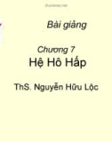 Chương 7 Hệ Hô Hấp