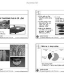 Chương 5.d: NUÔI THƯƠNG PHẨM CÁ LÓC