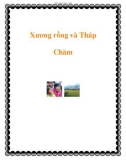 Xương rồng và Tháp Chàm