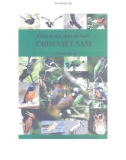 Tìm hiểu một số loài chim Việt Nam: Phần 1