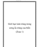 Giới hạn luân trùng trong ương ấu trùng cua biển (Zoae 1)